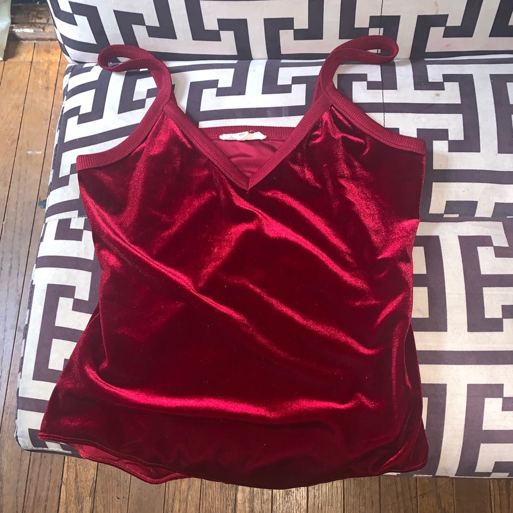 Velvet Burgundy Leotard